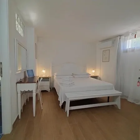 Sole 올비아